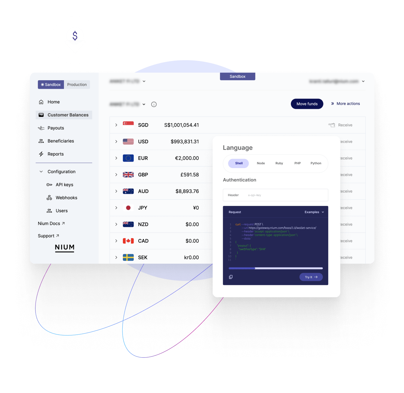 Multi Currency Accounts Dashboard